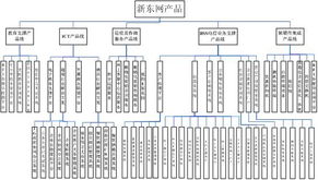 新東網科技 卓越網絡技術服務引領數字化未來