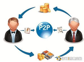 莆田正規信息咨詢服務指南